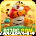 zzz678 Max BR v4.8.4